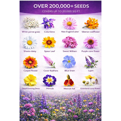 Wildflower Seeds Easy to Plant and Grow Premium Homegrown Seeds Fast Sprouting and High Germination Attracts Pollinators